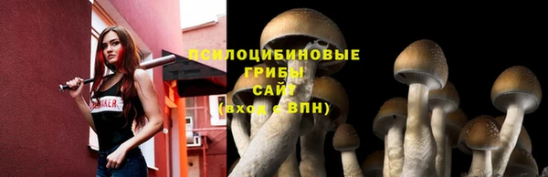 jwh Медногорск