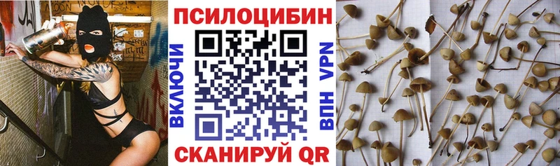 даркнет сайт Никольское Галлюциногенные грибы Cubensis